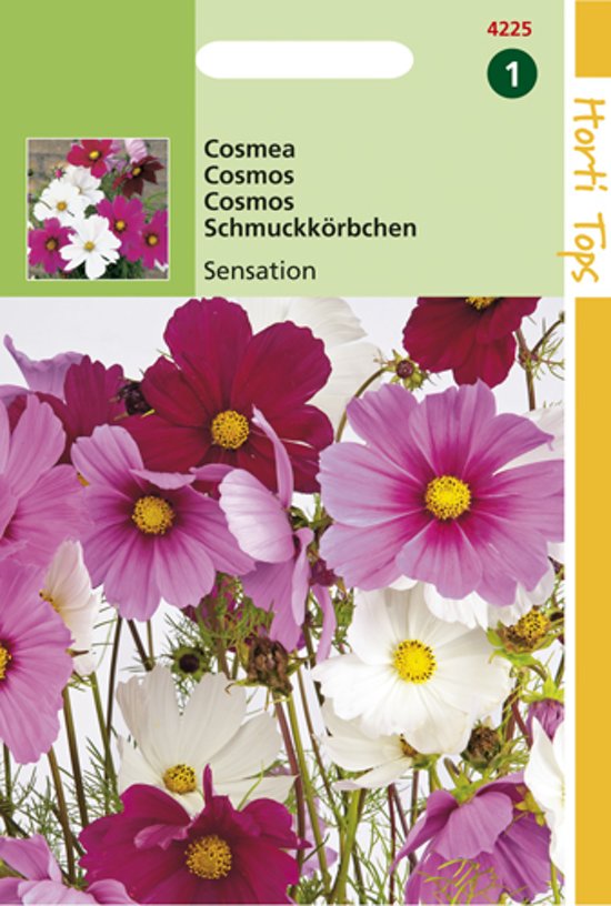 Cosmea Sensation Mix (Cosmos) 150 zaden HT